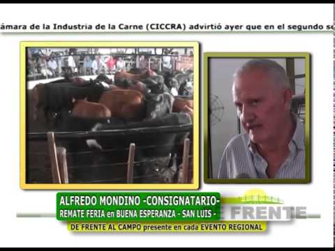 DE FRENTE AL CAMPO junto a ALFREDO S MONDINO