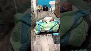 Download lagu My view from the shower 🚿🩵 Babys joyful usa 👶  #babysjoyfulusa mp3