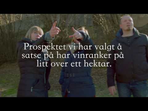 prosjekt castelnuovocalcea