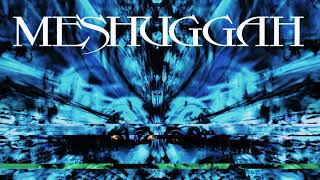 MESHUGGAH - SPASM