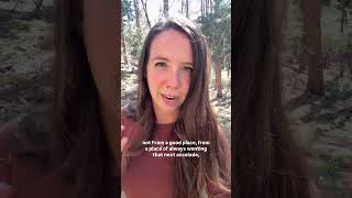 Out here in the forest thinking about AI 🌱