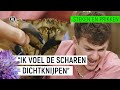 NOORDZEEKRAB KNIJPT JURRE'S VINGER ERAF?!  | Steken en Prikken #7 | NPO Zapp