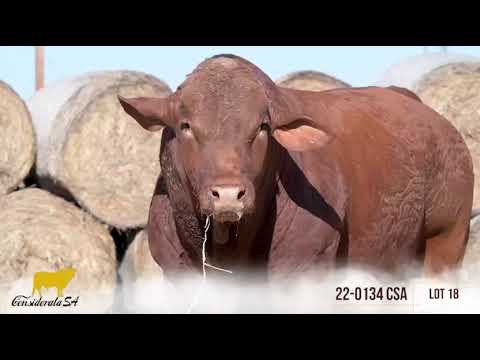 LOT 18 ~ CSA 22-0134