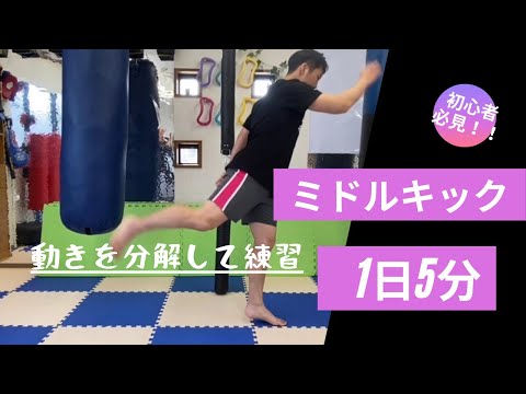 1日5分ミドルキックを習得しよう【初心者向け】