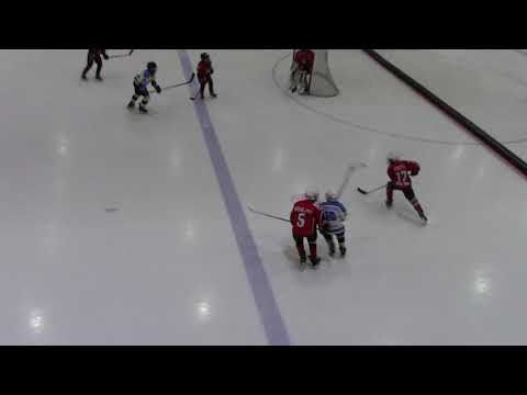 F1 HC Vipers Red 10 5 F1 Narva PSK 09