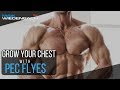 Pec Flyes for Gains