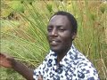 JOHN DE MATHEW NDUMIRIRI YA MIHUNI