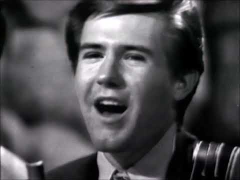 NEW * I Fought The Law - Bobby Fuller Four {Stereo} 1966