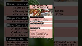 Download lagu Estimasi Biaya Usaha Ayam Petelur Rumahan #kuliner #tipsbisnis #peternakan #ayampetelur #wirausaha mp3