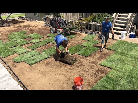 Backyard Makeover timelapse. 4 weeks in 4 minutes