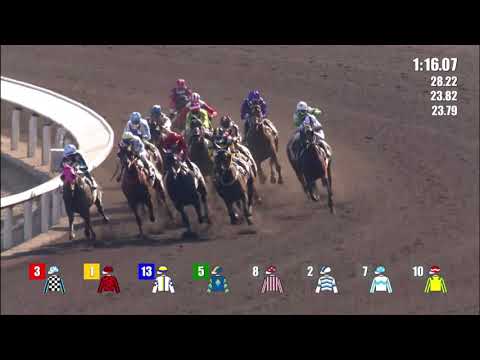 6/2/2021 (407) Skyey Supreme - Jerry Chau