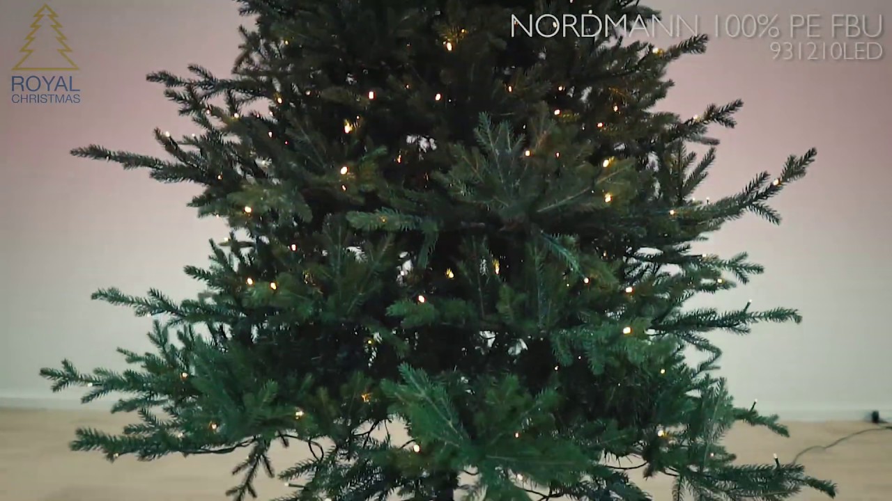 Royal Christmas - Kunstkerstboom Nordmann 100% PE FBU (Fast Build Up) Warm LED - 931210LED