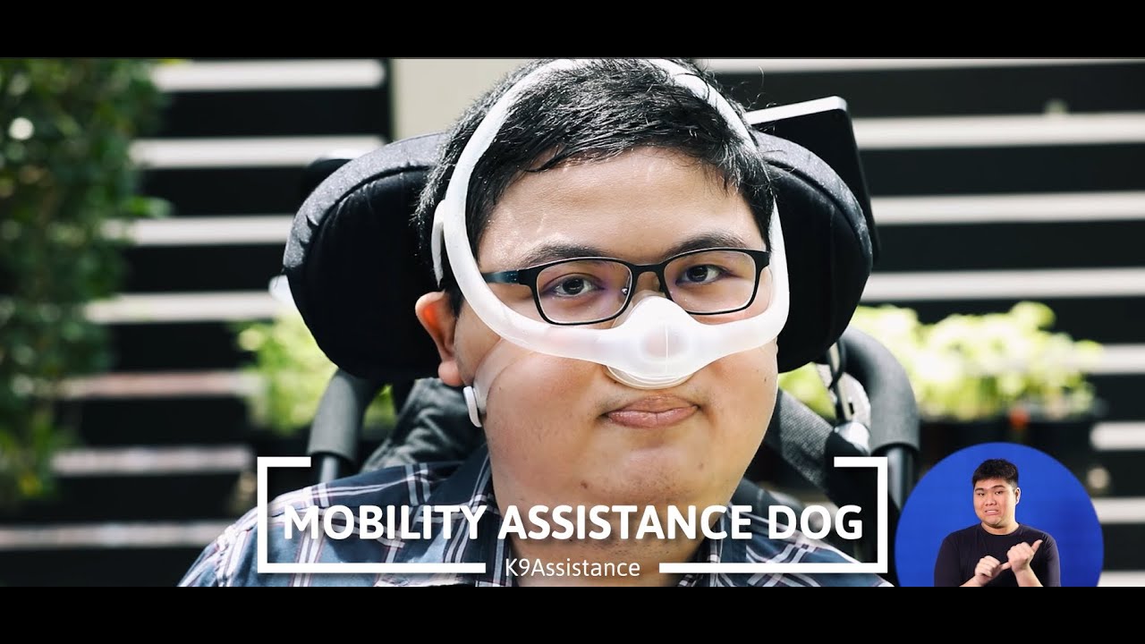 Make the Impossible, PAW-sible! | All about Mobility Assistance Dogs
