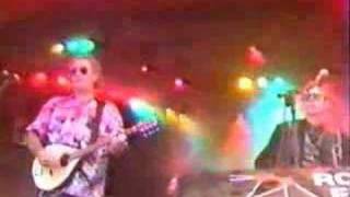 Pogues at Roskilde Festival 1992 - Young Ned &amp; Turkish Song