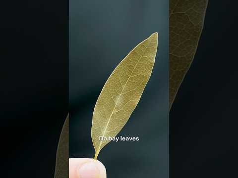 Do bay leaves actually do anything?