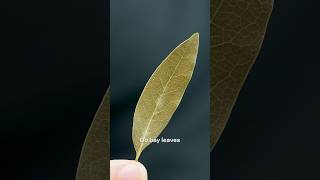 Do bay leaves actually do anything?