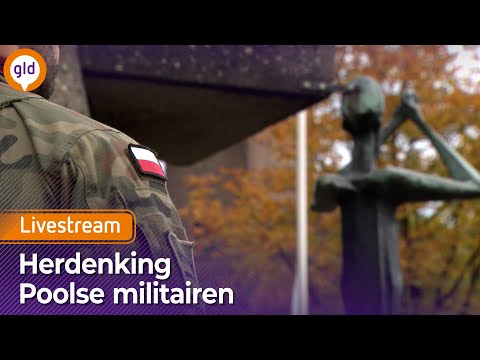 Herdenking Poolse militairen in Driel 2025 | Omroep Gelderland