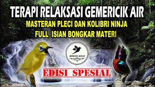 Download lagu BIRD SINGING RELAXING || TERAPI GEMERICIK AIR || MASTERAN BURUNG PLECI DAN KONIN BONGKAR MATERI mp3 Download lagu BIRD SINGING RELAXING || TERAPI GEMERICIK AIR || MASTERAN BURUNG PLECI DAN KONIN BONGKAR MATERI mp3