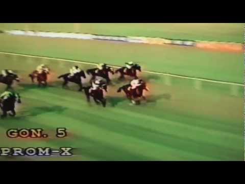 Nagroda Cardei - 26.09.1998 - Sava (Elmaamul - Scottish Legend)