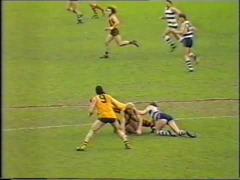 1986 Round 21 Hawthorn v Geelong Part 2 - 3rd Qtr in full (ProFootball)