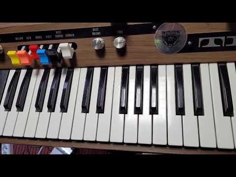 Eko Tiger (1971) and Mooer Soul Shiver pedal effect.