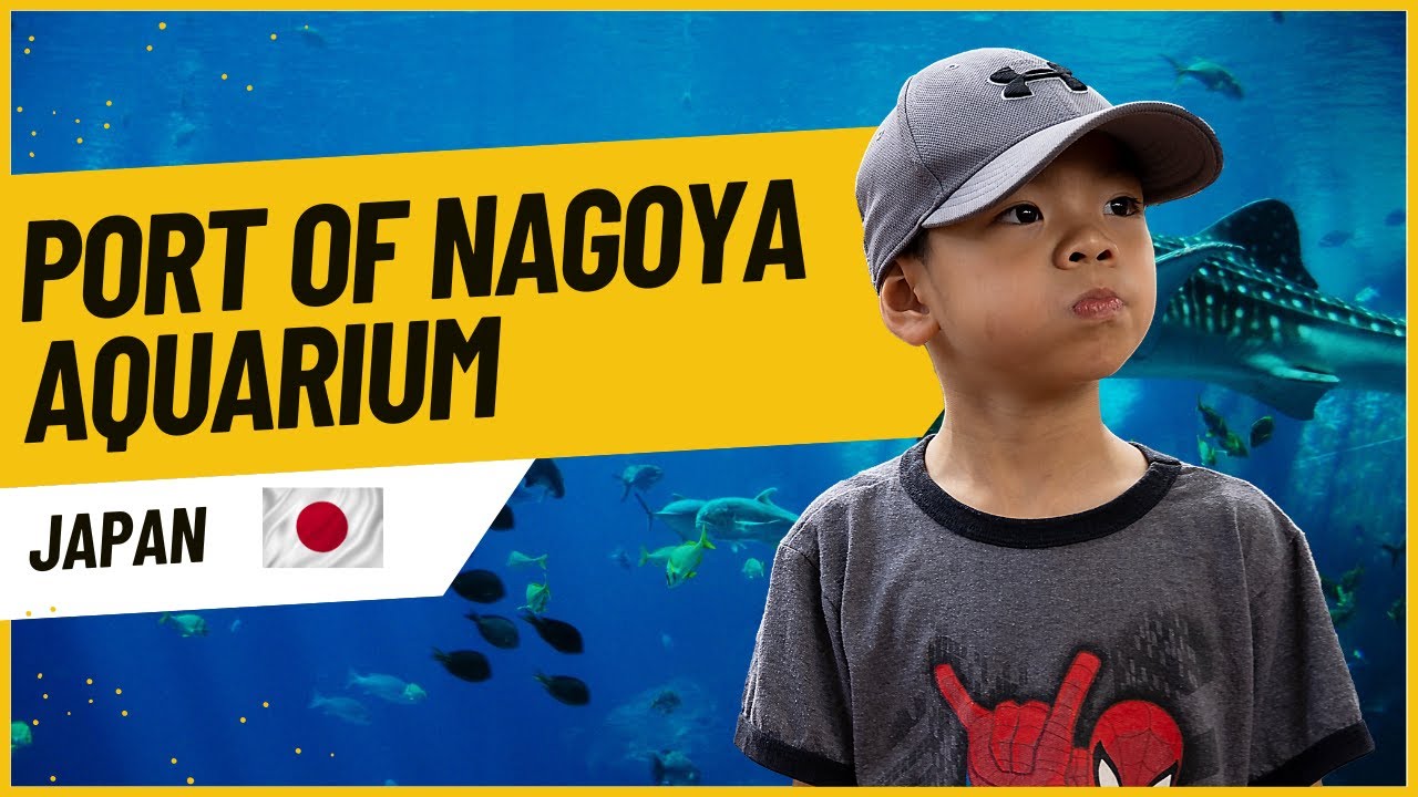 Experience the journey through Nagoya Port Aquarium through the lens of a tourist.