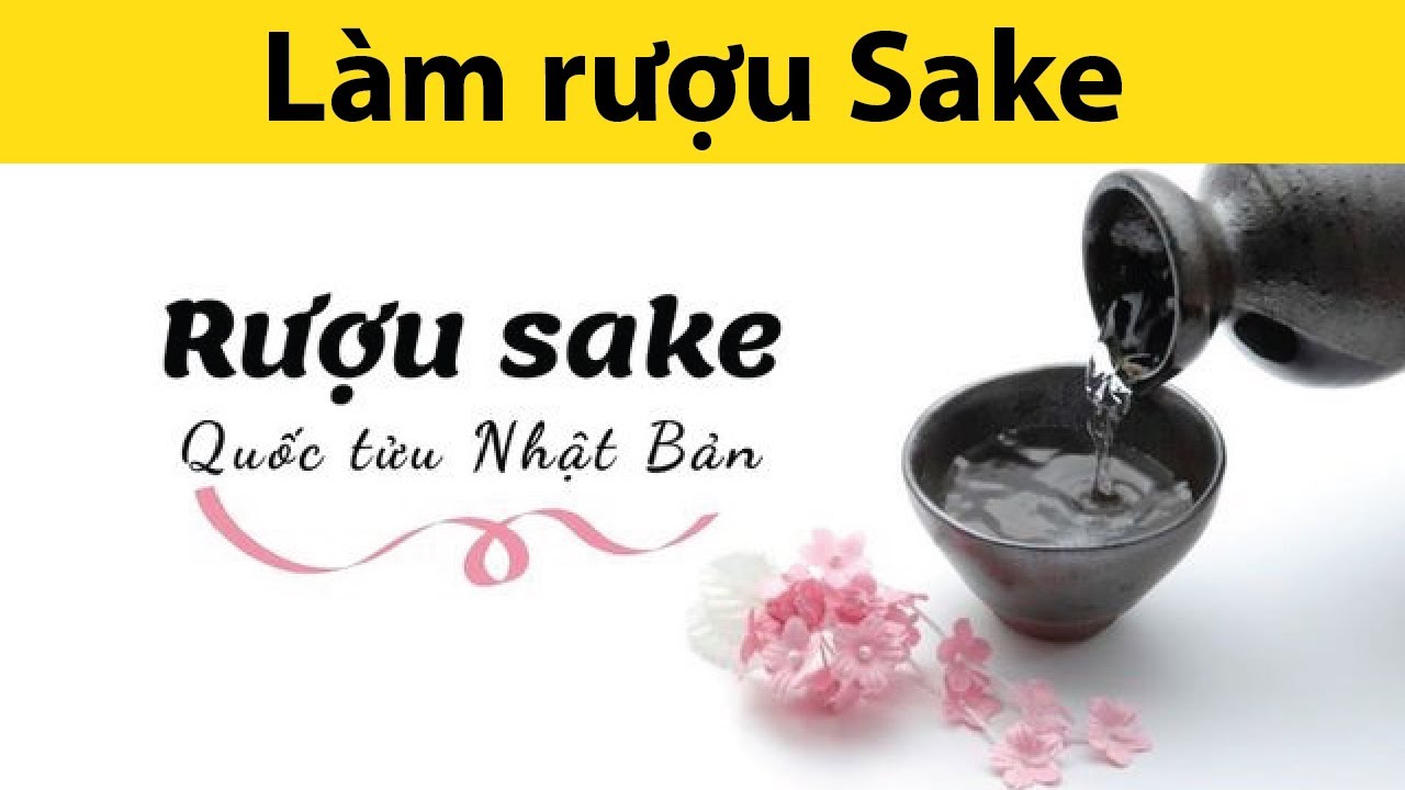 RECIPE "Làm rượu Sake" cùng với máy làm sữa chua và pho mát hiệu Kuvings KGC-712CB [Pickle Function]