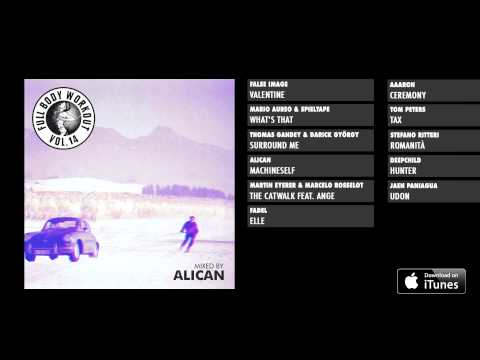 Full Body Workout Vol. 14 - Minimix