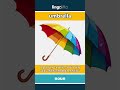 umbrella (noun) - definition and usage in English