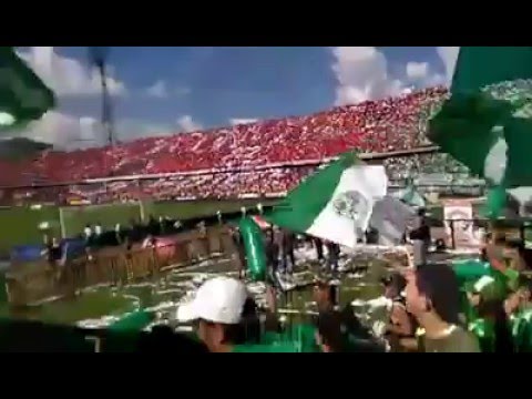 "Los Del Sur - dim 1 vs Atletico Nacional 1 - 2016" Barra: Los del Sur &bull; Club: Atlético Nacional &bull; País: Colombia