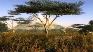 Cool African Music - Serengeti
