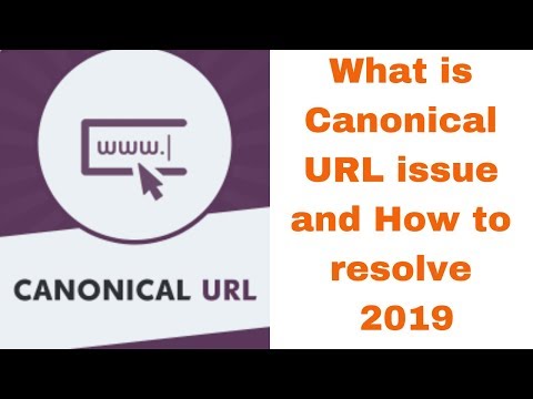 What is Canonical URL issue and How to resolve 2019