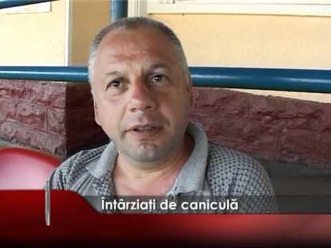 INTARZIATI DE CANICULA