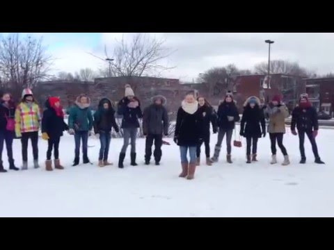 Team BELGYM rolt ook in Canada!