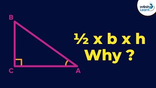 Area of Triangle = ½ x b x h  Why? | Fun Math | Don