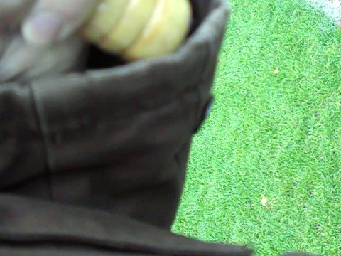 Geinoord F1 - Zwaluwen Utrecht F1