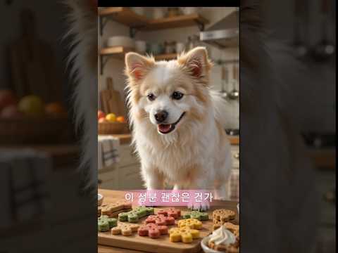 사료와 간식 과연 괜찮은 건지 · 영양분석