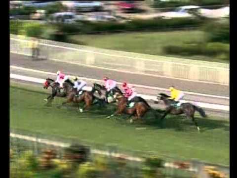 steel of approval (teeha)