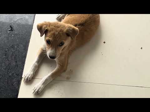 XXL XXL XXL XXL FREESTYLE 2024 |XXL 2025 🥱| Xxwd5000xa | XXL XXL XXL XXL FREESTYLES