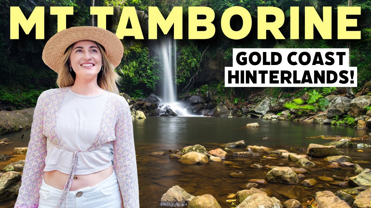 Join travelers as they explore Gold Coast Hinterland.
