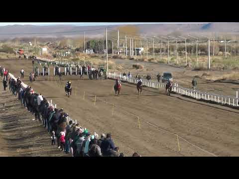 AMIGAZO  Club Hípico Añelo - Añelo - 16-07-2023