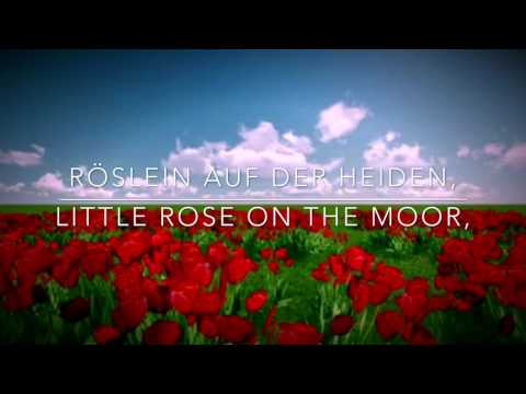 download lagu mp3 mp4 Heidenroslein Lyrics, download lagu Heidenroslein Lyrics gratis, unduh video klip Heidenroslein Lyrics