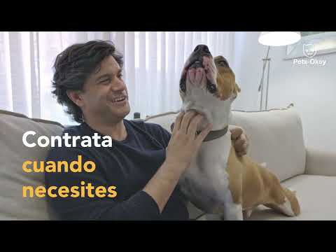 Pets-Okey video thumbnail