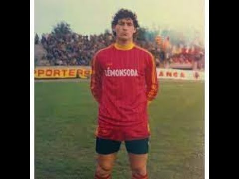 Lecce-Cesena 2-0 Serie B 83-84 14' Giornata