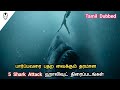 5 Best Shark Attack Hollywood Movies Tamil Dubbed Hollywood World