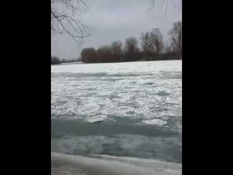 murisu an gitat igris timis