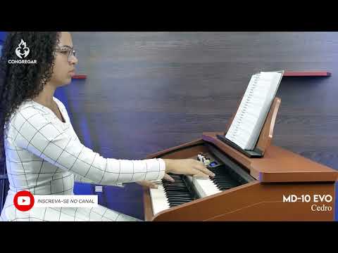 Hino 117 - Jesus habita em meu coração | CCB | Órgão Tokai MD-10EVO | Thainy Viana