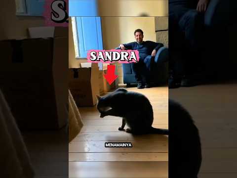 ini petunjuk dari sandra sebelum ia meninggal 😔