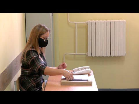 Самая высокая явка в Гомельской области. Продолжается досрочное голосование видео