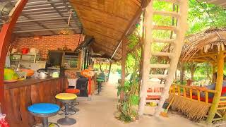 TRANQUIL OASIS: DISCOVER THE CALMING BEAUTY OF NATURE'S BEACHES, FORESTS & WILDLIFE  | RELAXATION
